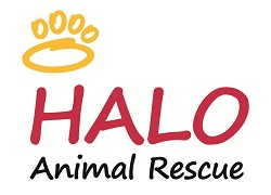 HALO Animal Rescue’s Logo